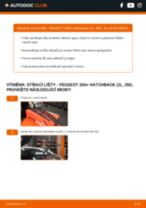 Profesionální průvodce výměnou součástky Tlumic perovani na tvém autě Peugeot 206+ 1.4 i