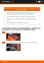 La guía profesional para realizar la sustitución de Amortiguadores en tu Peugeot 206+ 1.4 i