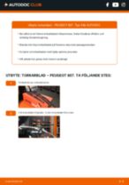 Steg-för-steg-guide i PDF om att byta Torkarblad i PEUGEOT 807 (E)