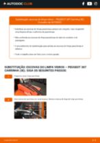 O guia profissional para substituir o produto Escovas do Limpa Vidros no teu Peugeot 307 SW 3E 1.6 16V