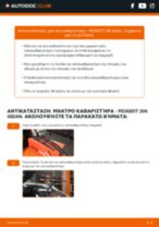 Αντικατάσταση Μάκτρο καθαριστήρα εμπρός και πίσω PEUGEOT 206 Saloon: οδηγίες pdf