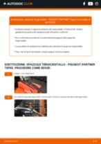 Come faccio ad effettuare la sostituzione di Spazzole tergicristallo su Partner II Camion pianale/Telaio 1.6 HDi 16V? Guide passo dopo passo