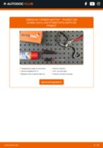 Онлайн наръчници за ремонт PEUGEOT 206 за професионални механици или автолюбители, които правят самостоятелни ремонти