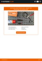 Reparatur- und Servicehandbuch für PEUGEOT 807 MPV 2020