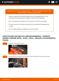 Cómo sustitución de Escobillas de Limpiaparabrisas 2.0 HDi 120 Peugeot Expert Furgón