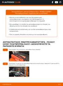 Πώς να πραγματοποιήσετε αντικατάσταση: Μάκτρο καθαριστήρα na Expert II Φορτηγό πλατφόρμα/Σασσί 2.0 HDi 120