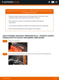 Sostituzione di Tergicristalli PEUGEOT EXPERT Platform/Chassis 2.0 HDi 120