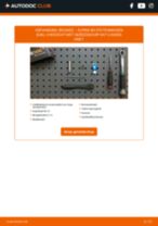 Compressor, pneumatisch systeem veranderen ALPINA D10: instructie pdf