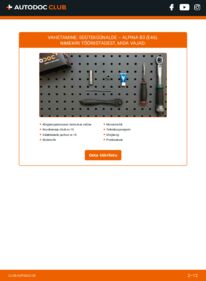 Kuidas välja vahetamist läbi viia: Alpina B3 E46 3.3 Süüteküünal