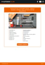RENAULT Sandero / Stepway II (B8_) 2020 φροντιστήριο επισκευής και εγχειριδιο