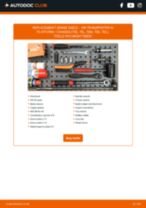 Transporter IV Platform / Chassis (70E, 70L, 70M, 7DE, 7DL) 2.5 Syncro workshop manual online