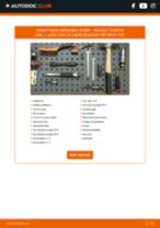 Manuel PDF til vedligeholdelse af Duster (HM_) 1.6 SCe 115 4x4 (HMM1)