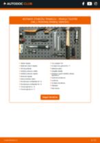 Instrukcijos PDF apie Duster (HM_) 1.6 SCe 115 4x4 (HMM1) priežiūrą