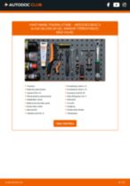 Automargi MERCEDES-BENZ S-CLASS (W126) tee-seda-ise hoolduse PDF-juhised