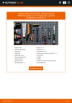Manuální PDF pro údržbu SPRINTER CLASSIC 4,6-t autobus (909) 411 CDI (909.843)