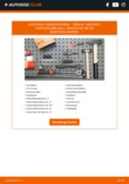Reparatur- und Servicehandbuch für RENAULT Megane II Kasten/Kombi (KM_) 2005