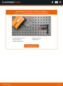 Wie der Wechsel ausgeführt wird: Luftfilter 1.5 dCi Renault Scenic 3