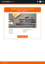 De professionele handleidingen voor Interieurfilter-vervanging in je CITROËN C3 II Kasten / Schrägheck (SC) 1.4 HDi