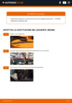 Sostituzione di Tergicristalli su Citroen Berlingo mk2 1.6 HDi 90 16V: la guida professionale