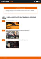 La guía profesional para realizar la sustitución de Escobillas de Limpiaparabrisas en tu Citroen Jumpy Furgón 1.6 HDi 90 16V