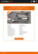 Reparatur- und Servicehandbuch für PEUGEOT 208 Kastenwagen (CR_) 2020
