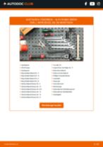 Reparatur- und Servicehandbuch für ALFA ROMEO BRERA