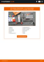 Stap-voor-stap PDF-handleidingen over het veranderen van ALFA ROMEO BRERA Remblokken
