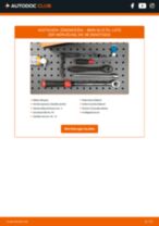 Werkstatthandbuch für X5 (E70) 3.0 si online