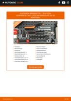SEAT LEON (1M1) Bremssattel: Schrittweises Handbuch im PDF-Format zum Wechsel