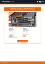 Skoda Roomster 5j 1.4 TDI onderhoudsboekje voor probleemoplossing