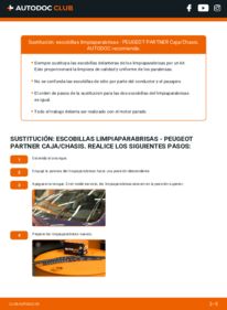 Cómo sustitución de Escobillas de Limpiaparabrisas 1.6 HDi PEUGEOT PARTNER Platform/Chassis