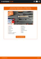 De professionele reparatiehandleiding voor Brandstoffilter-vervanging in je Сitroën ZX N2 1.6 i