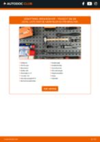 Udskiftning af Bremseskiver keramiske PEUGEOT 206 SW (2E/K): manual pdf