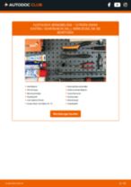 CITROËN JUMPER Box (230L) Getriebelagerung austauschen: Anweisung pdf