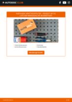 PEUGEOT Sensor, Abgastemperatur selber auswechseln - Online-Anleitung PDF