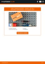 Ingyenes PDF formátumú útmutatók PEUGEOT 207 SW (WK_) gépkocsik DIY karbantartásához