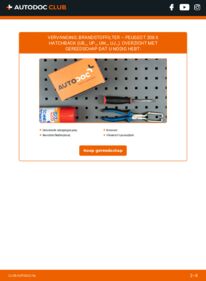 Vervanging uitvoeren: Brandstoffilter 1.2 PureTech PEUGEOT 208 II Schrägheck (UB_, UP_, UW_, UJ_)