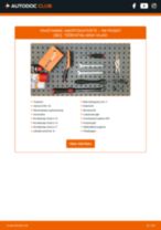 VW PASSAT (3B2) vahetada Amort tagumine: käsiraamatute pdf
