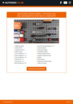 PDF manual sobre mantenimiento Passat (A32, A33) 2.5