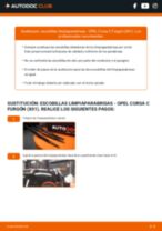 PDF manual sobre mantenimiento Corsa C Furgón (X01) 1.4 (W5L, F08)