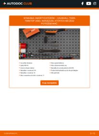 Jak wymienić Amortyzator Tigra Mk2 TwinTop (X04) 1.8