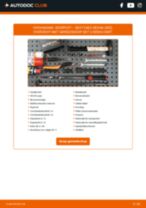 Handleiding PDF over onderhoud van Exeo Sedan (3R2) 1.6