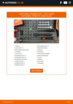 Käsiraamat PDF COMBO Kast/kombi 1.6 CNG 16V hoolduse kohta