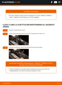 Cómo sustitución de Escobillas de Limpiaparabrisas 1.2 16V (CN04, CN0B) Renault Twingo 2