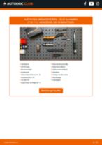 Reparatur- und Servicehandbuch für SEAT Alhambra II (710, 711) 2020