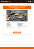 PDF-Tutorial und Reparaturanleitung für Beetle Cabrio (5C7, 5C8) 2.0 TSI