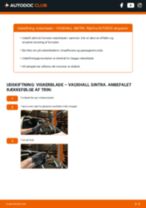Den professionelle guide til udskiftning af Gearkasseolie på din VAUXHALL SINTRA 2.2 DTI