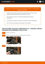 Sostituzione di Filtro Carburante su VAUXHALL SINTRA 2.2 i 16 V: la guida professionale