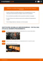 La guía profesional para realizar la sustitución de Pinzas de Freno en tu VW Polo 86 1.3