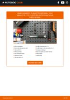 PDF manuel sur la maintenance de SIENA